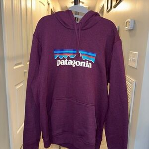Patagonia Unisex Burgundy Hoodie Sweater